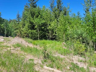 Lot for sale in 100 Mile House, 100 Mile House, 901 Spruce Place, 263128508 | Realtylink.org