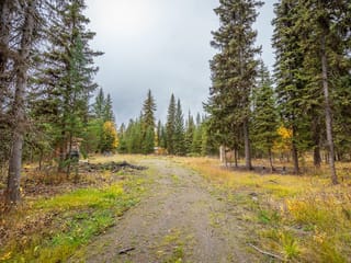 Lot for sale in Forest Grove, 100 Mile House, 6301 Archie Meadow Road, 263128563 | Realtylink.org
