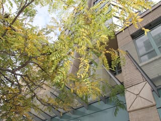 Apartment for rent in Vancouver, Vancouver West, 705 1238 Burrard 3638 West 35th Ave Street, 263129329 | Realtylink.org