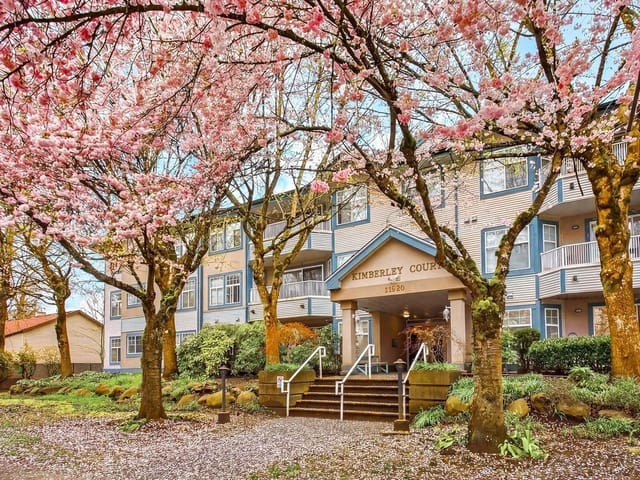 Apartment for sale in Pitt Meadows, Pitt Meadows, 104 11960 Harris Road, 263129499 | Realtylink.org