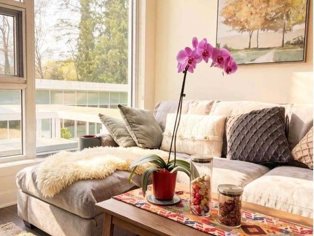 Apartment for sale in Coquitlam, Coquitlam, 306 595 Austin Avenue, 263129935 | Realtylink.org