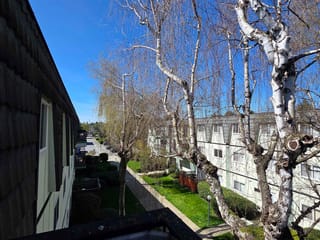 Apartment for sale in Richmond, Richmond, 356 8131 Ryan Road, 263130865 | Realtylink.org