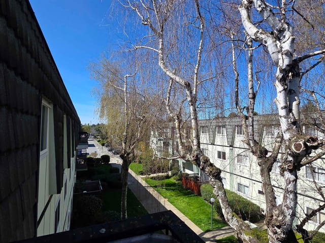 Apartment for sale in Richmond, Richmond, 356 8131 Ryan Road, 263130865 | Realtylink.org