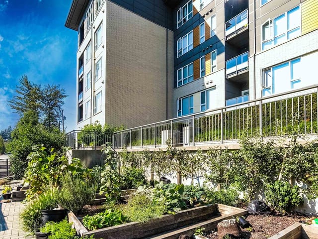 Apartment for sale in Burnaby, Burnaby North, 110 9168 Slopes Mews, 263131107 | Realtylink.org