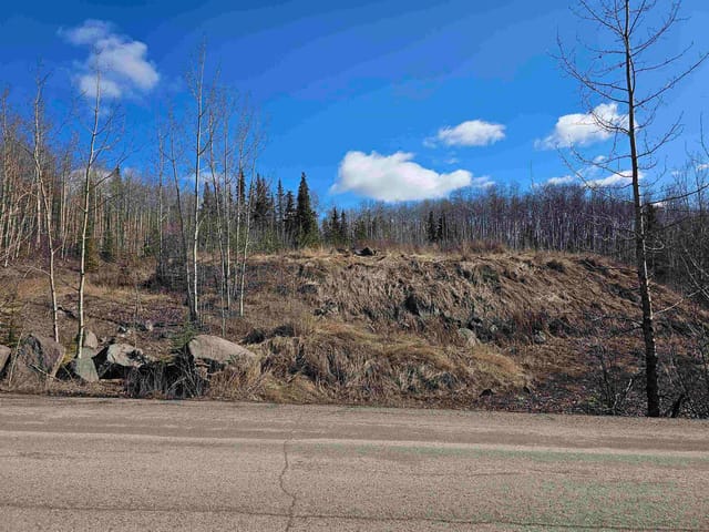 Lot for sale in Burns Lake, Burns Lake, 970 Nash Road, 263131252 | Realtylink.org