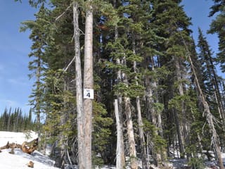 Lot for sale in Smithers, Smithers And Area, PT. St 4 Alpine Way, 263131312 | Realtylink.org