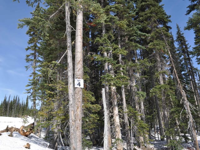 Lot for sale in Smithers, Smithers And Area, PT. St 4 Alpine Way, 263131312 | Realtylink.org