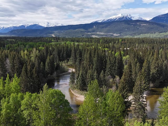 Lot for sale in Valemount, Robson Valley, LOT A 3840 Bryan Road, 263131581 | Realtylink.org