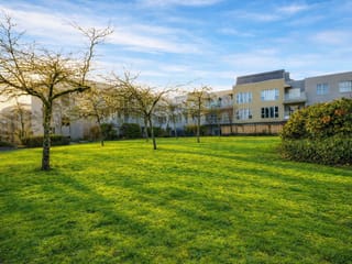 Apartment for sale in Richmond, Richmond, 317 7800 St. Albans Road, 263132902 | Realtylink.org