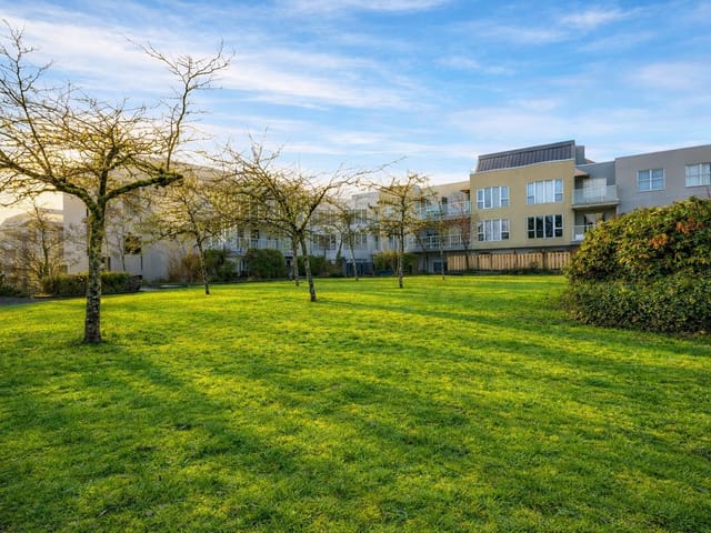 Apartment for sale in Richmond, Richmond, 317 7800 St. Albans Road, 263132902 | Realtylink.org