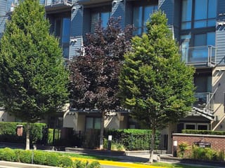 Apartment for rent in Abbotsford, Abbotsford, 204 3090 Gladwin Road, 263134099 | Realtylink.org