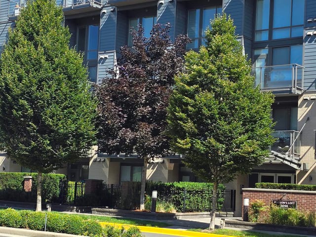 Apartment for rent in Abbotsford, Abbotsford, 204 3090 Gladwin Road, 263134099 | Realtylink.org