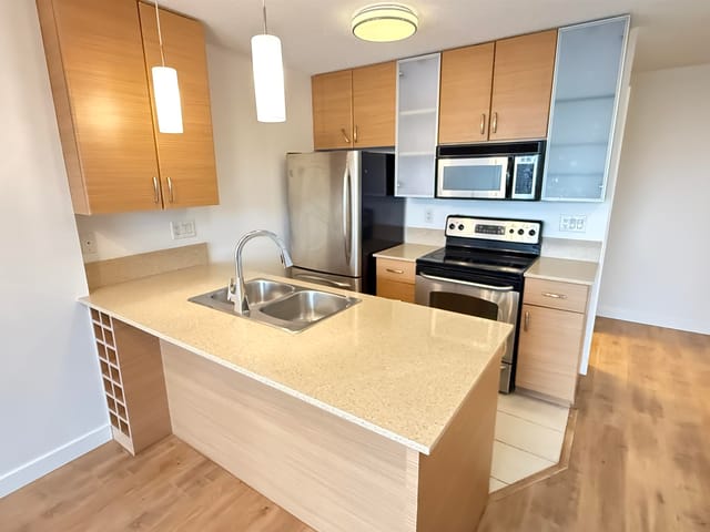 Apartment for rent in Vancouver, Vancouver West, 3008 909 Mainland Street, 263134746 | Realtylink.org