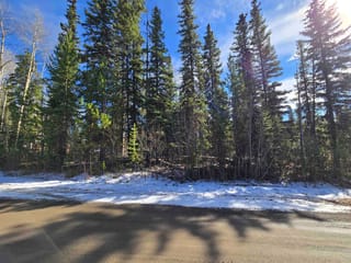 Lot for sale in Deka Lake / Sulphurous / Hathawa, 100 Mile House, Lot 207 Ingento Road, 263135013 | Realtylink.org