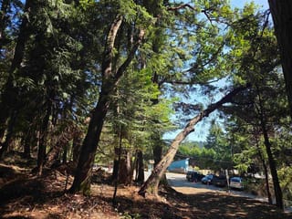 Lot for sale in Mayne Island, Islands-Van. & Gulf, 488 Letour Road, 263135150 | Realtylink.org