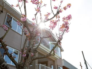 Apartment for sale in Sechelt, Sunshine Coast, 307 5711 Mermaid Street, 263135313 | Realtylink.org