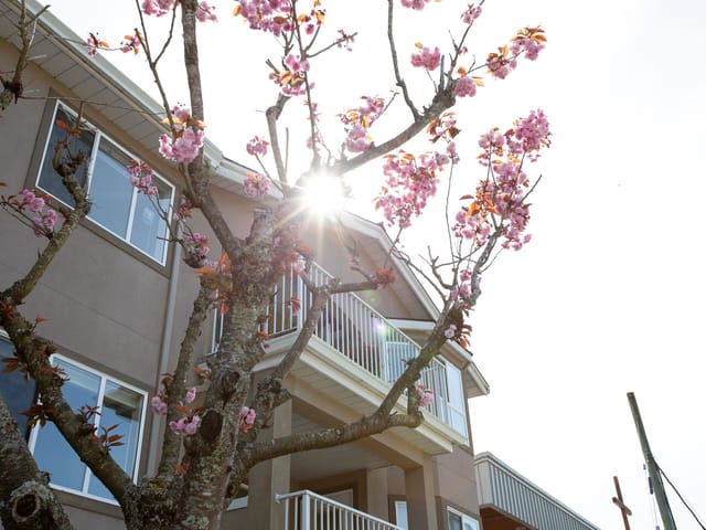 Apartment for sale in Sechelt, Sunshine Coast, 307 5711 Mermaid Street, 263135313 | Realtylink.org