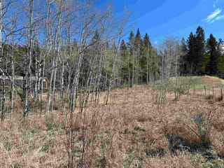 Lot for sale in 100 Mile House, 100 Mile House, Lot 10 Reita Crescent, 263135501 | Realtylink.org