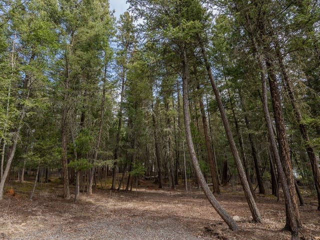 Lot for sale in 108 Mile Ranch, 100 Mile House, Lot 83 Tattersfield Place, 263135534 | Realtylink.org