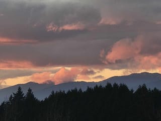 Apartment for sale in Delta, N. Delta, 1005 11910 80 Avenue, 263136326 | Realtylink.org