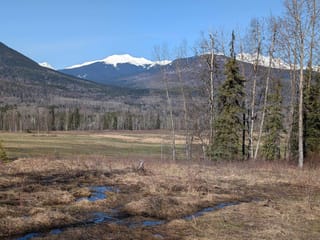 Lot for sale in Smithers, Smithers And Area, Lot B Telkwa High Road, 263138362 | Realtylink.org