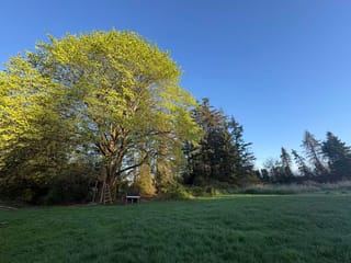 House for sale in Surrey, South Surrey White Rock, 18106 32 Avenue, 263139129 | Realtylink.org