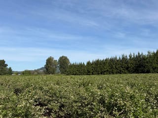 Lot for sale in Mission, Mission, 8573 S River Road, 263139197 | Realtylink.org