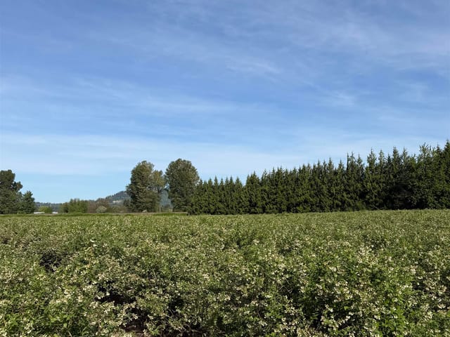 Lot for sale in Mission, Mission, 8573 S River Road, 263139197 | Realtylink.org