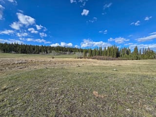 Lot for sale in Williams Lake, Williams Lake, SECTION 35 Chimney Lake Road, 263139350 | Realtylink.org