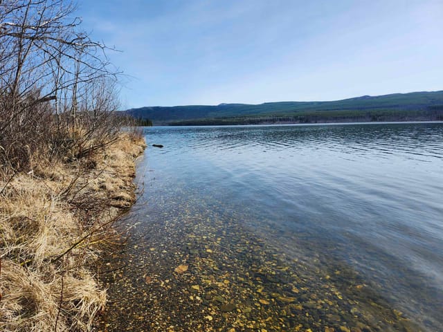 Lot for sale in Burns Lake, Burns Lake, Lot 7 Binta Main Forest Service Road, 263139554 | Realtylink.org