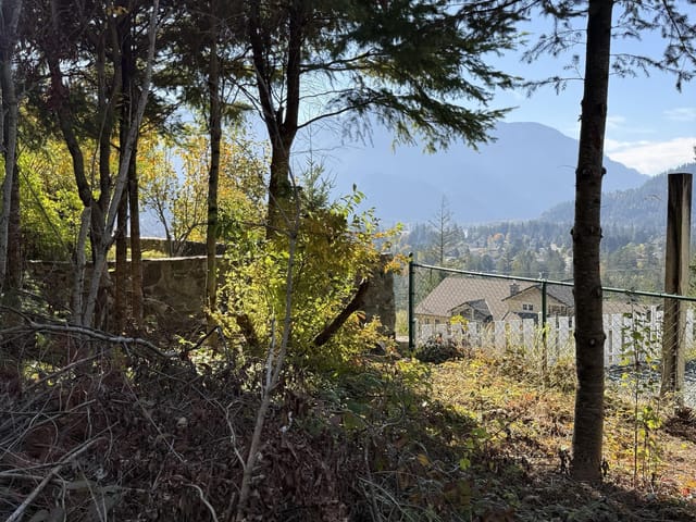 Lot for sale in Hope, Hope & Area, 21647 Thacker Mtn Road, 263139573 | Realtylink.org