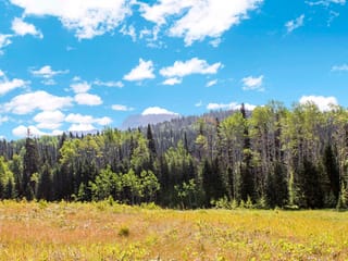 Lot for sale in Bridge Lake, 100 Mile House, Lot 1 Little Fort 24 Highway, 263139879 | Realtylink.org