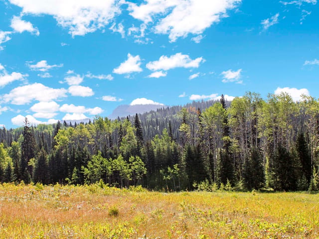 Lot for sale in Bridge Lake, 100 Mile House, Lot 1 Little Fort 24 Highway, 263139879 | Realtylink.org
