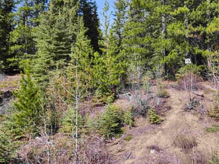 Lot for sale in Burns Lake, Burns Lake, LOT 15 N Binta Main Forest Service Road, 263140141 | Realtylink.org