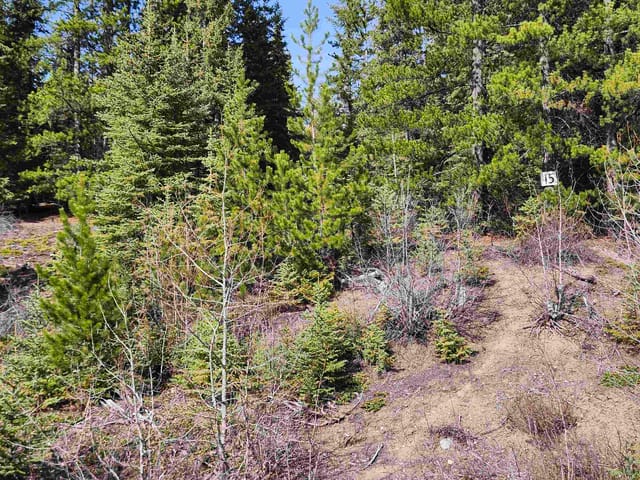 Lot for sale in Burns Lake, Burns Lake, LOT 15 N Binta Main Forest Service Road, 263140141 | Realtylink.org