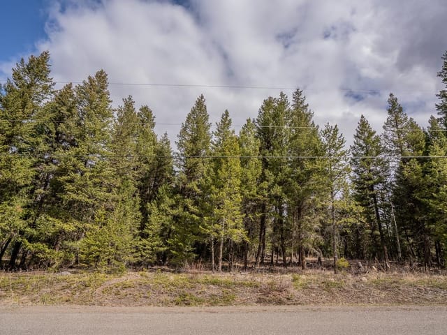 Lot for sale in Lac La Hache, 100 Mile House, Lot 5 Park Place, 263140153 | Realtylink.org