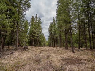 Lot for sale in Lac La Hache, 100 Mile House, Lot 6 Park Place, 263140154 | Realtylink.org