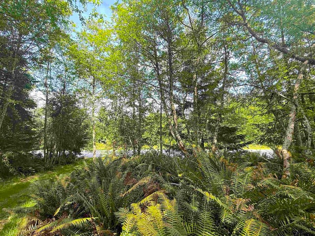Lot for sale in Galiano Island, Islands-Van. & Gulf, Lot 11 Bodega Beach Drive, 263140178 | Realtylink.org