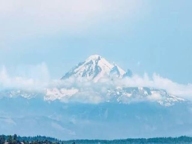 Apartment for sale in Mission, Mission, 601 7375 Horne Street, 263140229 | Realtylink.org