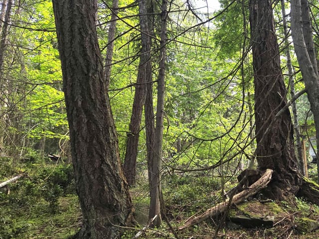 Lot for sale in Mayne Island, Islands-Van. & Gulf, 242 Mariners Way, 263140313 | Realtylink.org