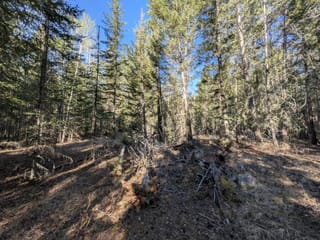 Lot for sale in 100 Mile House, 100 Mile House, Dl 8515 Ninth Street, 263140602 | Realtylink.org