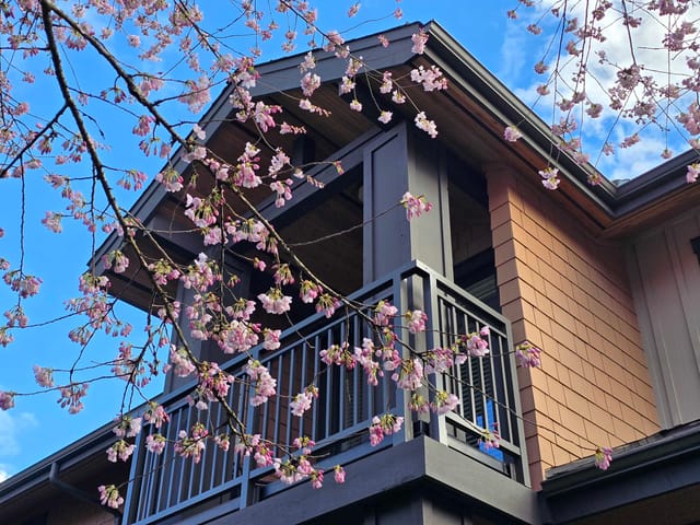 Townhouse for sale in North Vancouver, North Vancouver, 29 555 Raven Woods Drive, 263140608 | Realtylink.org