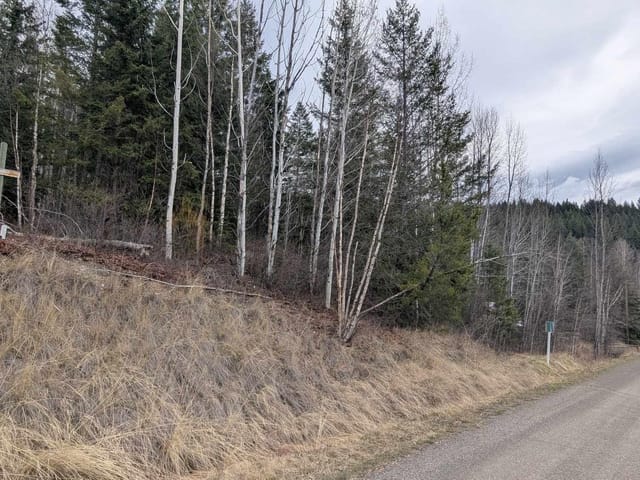 Lot for sale in Canim Lake, 100 Mile House, Lot 12 Summit Road, 263141032 | Realtylink.org