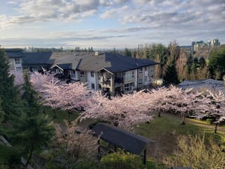 Apartment for sale in Coquitlam, Coquitlam, 201 3082 Dayanee Springs Boulevard, 263141343 | Realtylink.org