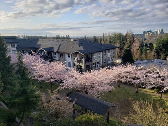 Apartment for sale in Coquitlam, Coquitlam, 201 3082 Dayanee Springs Boulevard, 263141343 | Realtylink.org