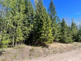 Lot for sale in Quesnel, Quesnel, LOT 2 Bourgeois Road, 263141755 | Realtylink.org