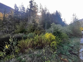 Lot for sale in Hope, Hope & Area, Rll1 Strawberry Lane, 263142138 | Realtylink.org
