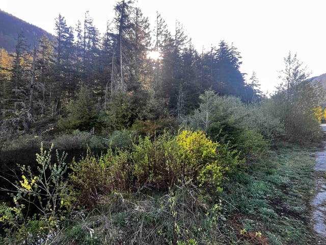 Lot for sale in Hope, Hope & Area, Rll1 Strawberry Lane, 263142138 | Realtylink.org