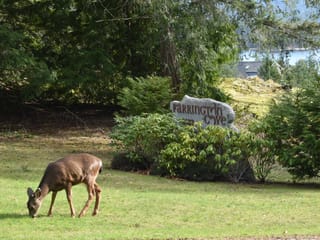 Lot for sale in Pender Harbour, Sunshine Coast, 7 4622 Sinclair Bay Road, 263142879 | Realtylink.org