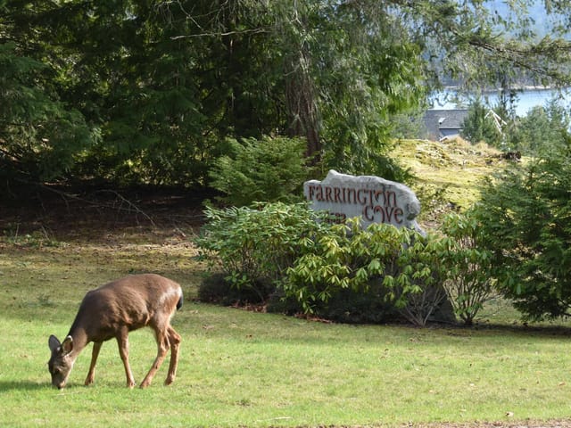 Lot for sale in Pender Harbour, Sunshine Coast, 7 4622 Sinclair Bay Road, 263142879 | Realtylink.org